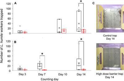 Chemical identification of an active component and putative neural mechanism for repellent effect of a native ant’s odor on invasive species